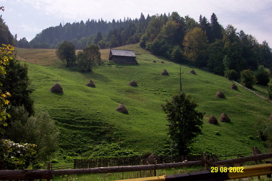 2002-08-29 11-59-55a.jpg - RO Muntele Baisoara südwestlich von Cluj